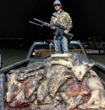 Texas hog hunting